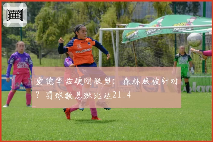 爱德华兹硬刚联盟：森林狼被针对？罚球数悬殊比达21_4