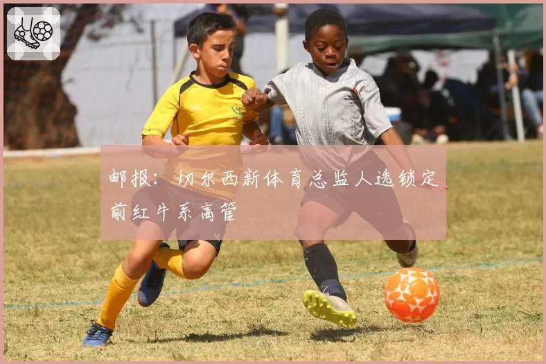 邮报：切尔西新体育总监人选锁定前红牛系高管